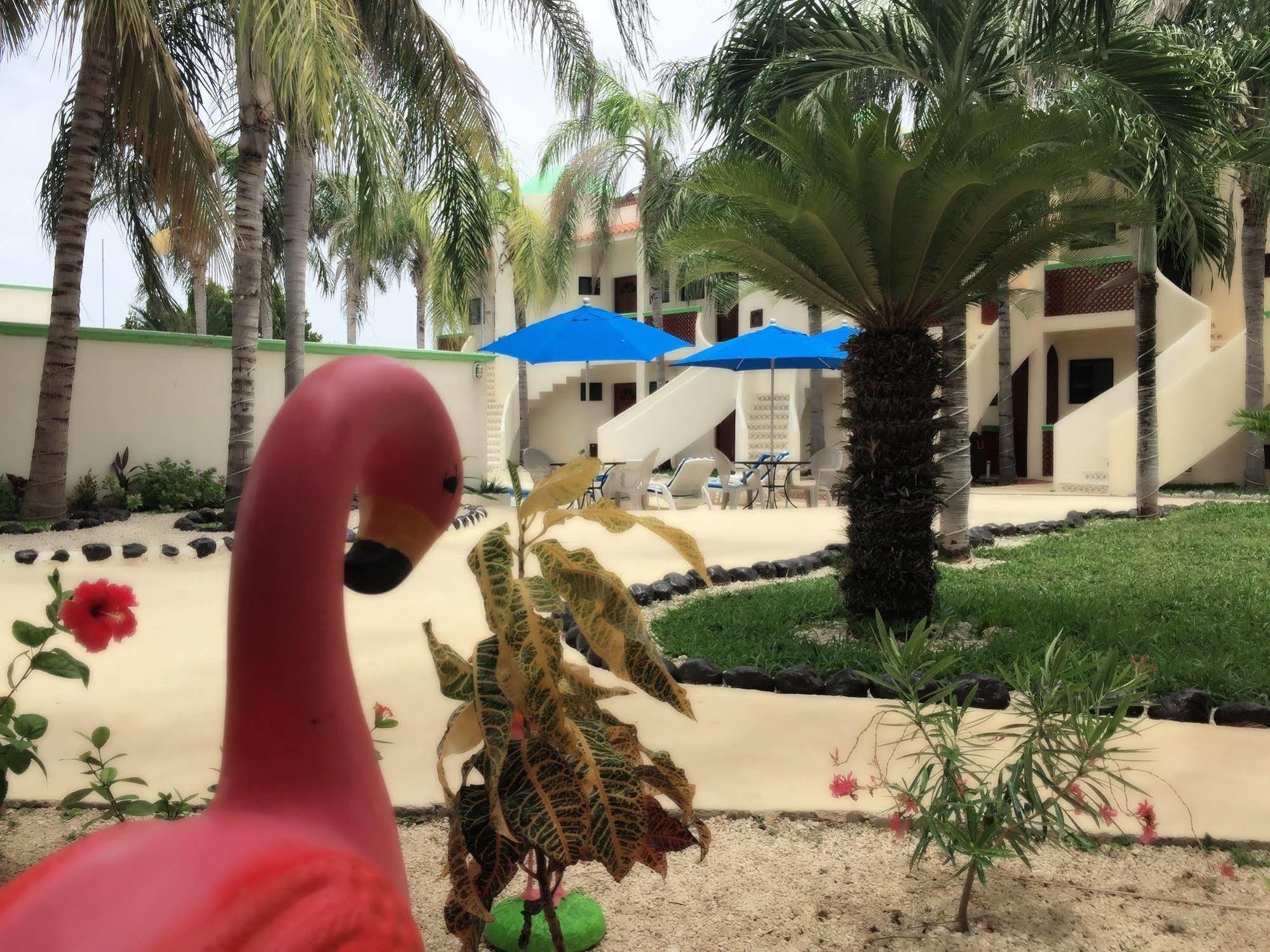 איסלה מוחרס Villas Coco Resort - All Suites (Adults Only) מראה חיצוני תמונה